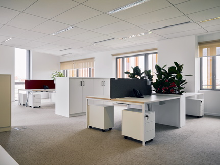 Cerenn-06-20-5000px-print-6631-contrast